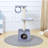 Niantic 41.53'' H Cat Tree