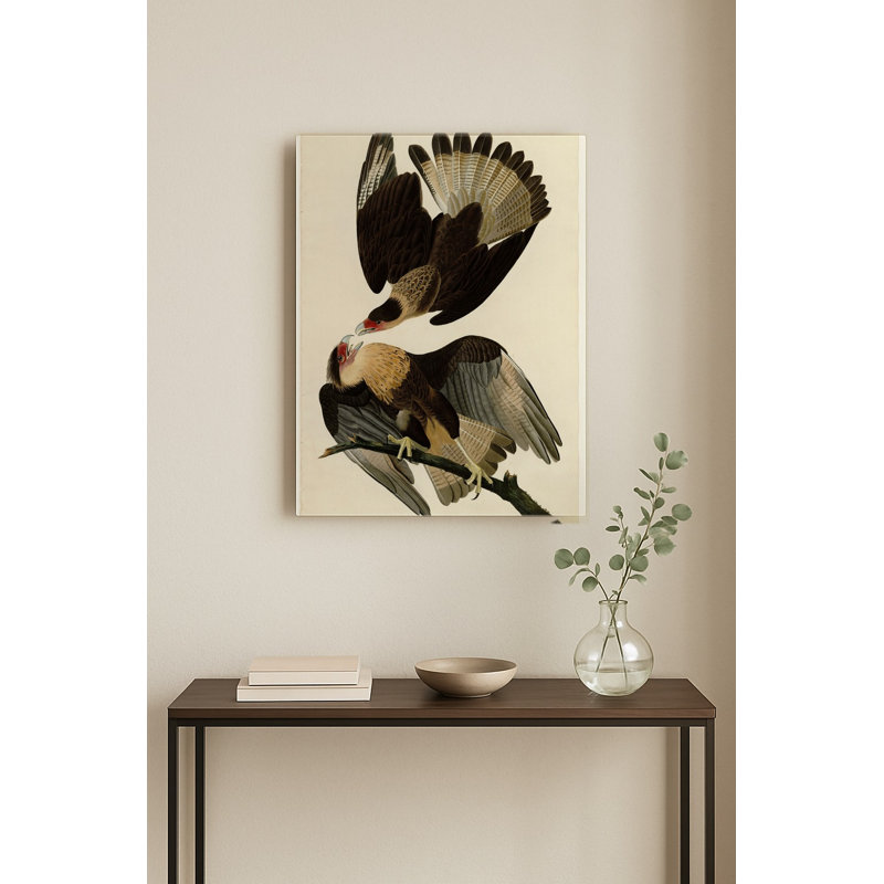Aigle Caracara du Brésil (Planche 161) — Portrait en métal, 10" H x 8" W