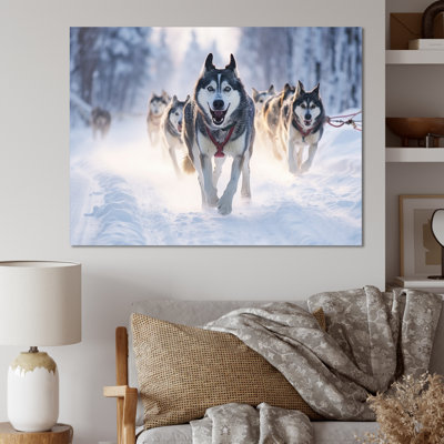 " Alaska Dog Sledding II "