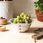Windrow Stoneware Fruit Bowl-49452826