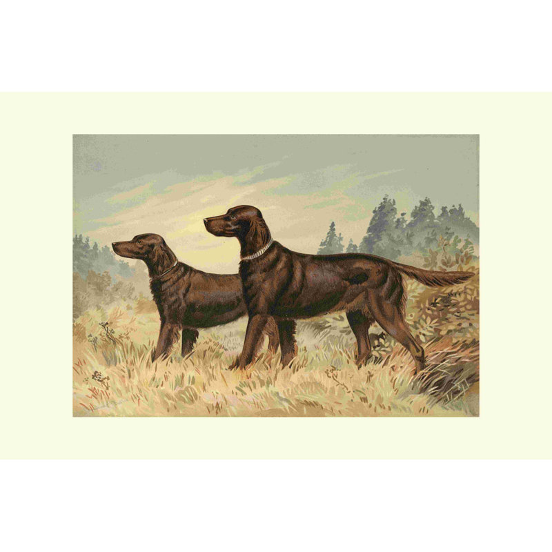 Irish Setter II by Alexander Pope - Wrapped Canvas Print, 24" H x 36" W x 1.25" D