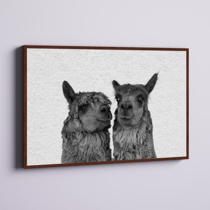 «Llama Couple», reproduction sur toile encadrée, 16 po x 24 po