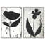 Single Flowers Set Set by Oliver Gal-648571556-694157130