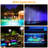 Solar Powered Floating LED Lights