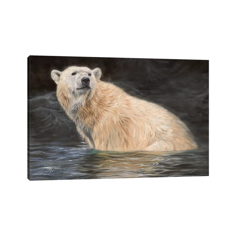 Polar Bear by David Stribbling - Wrapped Canvas Print, 20.32 cm H x 30.48 cm W