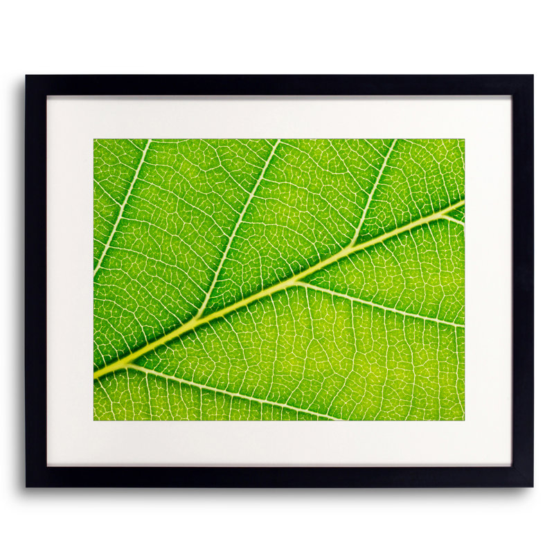 Feuille d'automne par Philippe Moisoux - impression, H 17,2 po x l 21,2 po, Papier avec cadre noir