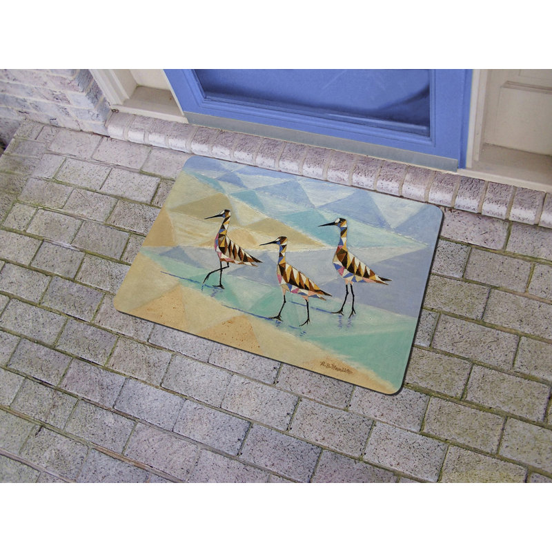 Nikolia 26 po x 18 po Tapis de porte antidérapant