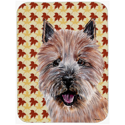 East Urban Home Norwich Terrier Glass Cutting Board