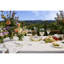 Elegance Chardonnay 12.5 fl oz