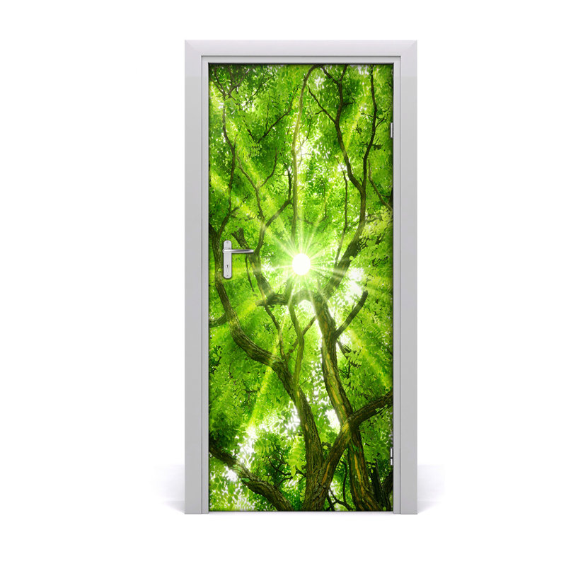 Upper Branches Of A Tree Door Decal