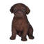 Statue de labrador chiot brun chocolat