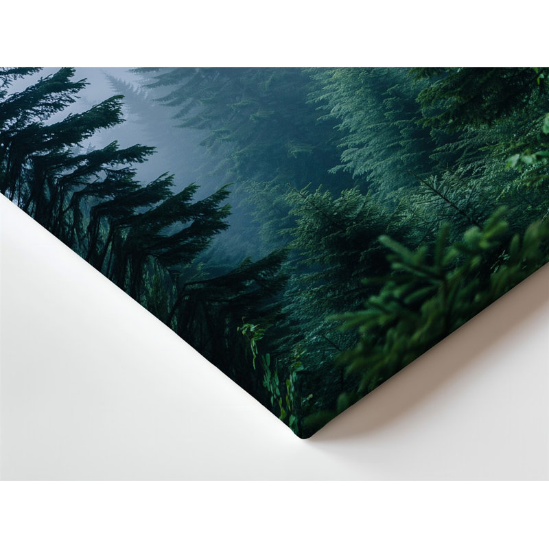 Toile «A Dense Misty Forest Landscape Shrouded In Thick brouillard», H 30 po x l 40 po