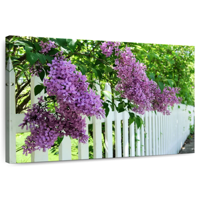 Clôture Harnek lilas, H 20 po x l 30 po