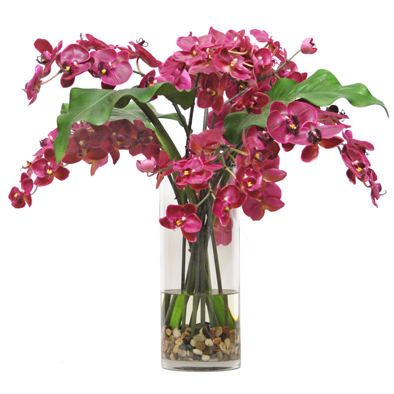 Arrangement floral d'orchidées phalaenopsis dans un vase