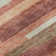Premium Machine Washable Prisco Coral Rug