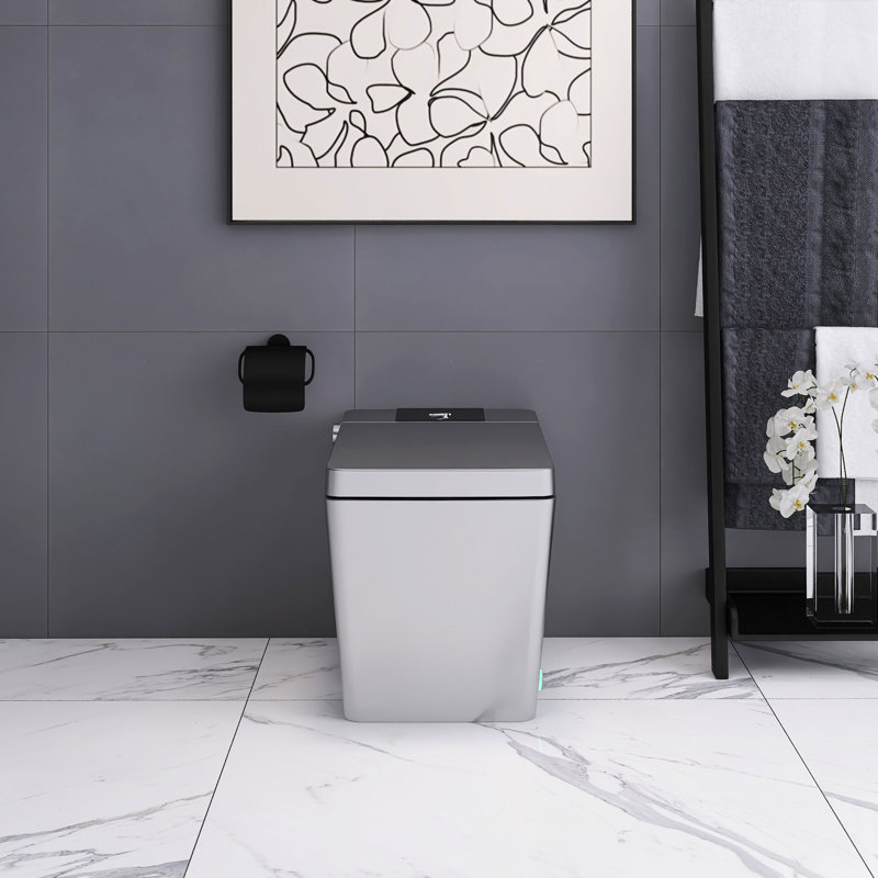 Toilette intelligente en céramique avec siège chauffant, Gris