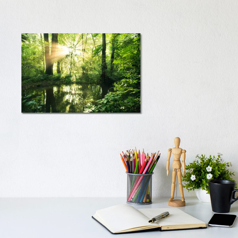 Eden Woods by Stefan Hefele - Wrapped Canvas Gallery-Wrapped Canvas Giclée, 20.32cm H x 30.48cm W