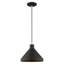Luminaire suspendu conique à 1 lumière Schultz-349066266-349150417