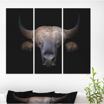 " Gaur Head In The Dark " 3 - Pieces