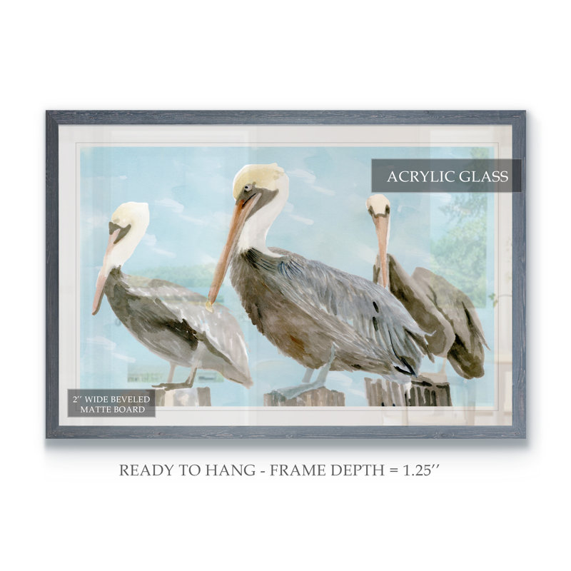 «Soft Brown Pelican III», reproduction d'art encadrée, H 32 po x l 44 po x P 1,3 po, Cadre en papier gris