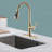 GAWEZA Pull Down Kitchen Faucet-93495161