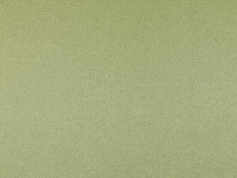 Briscoe Fabric, Fern