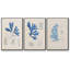 Algues bleu marine VI-91887800-91887802