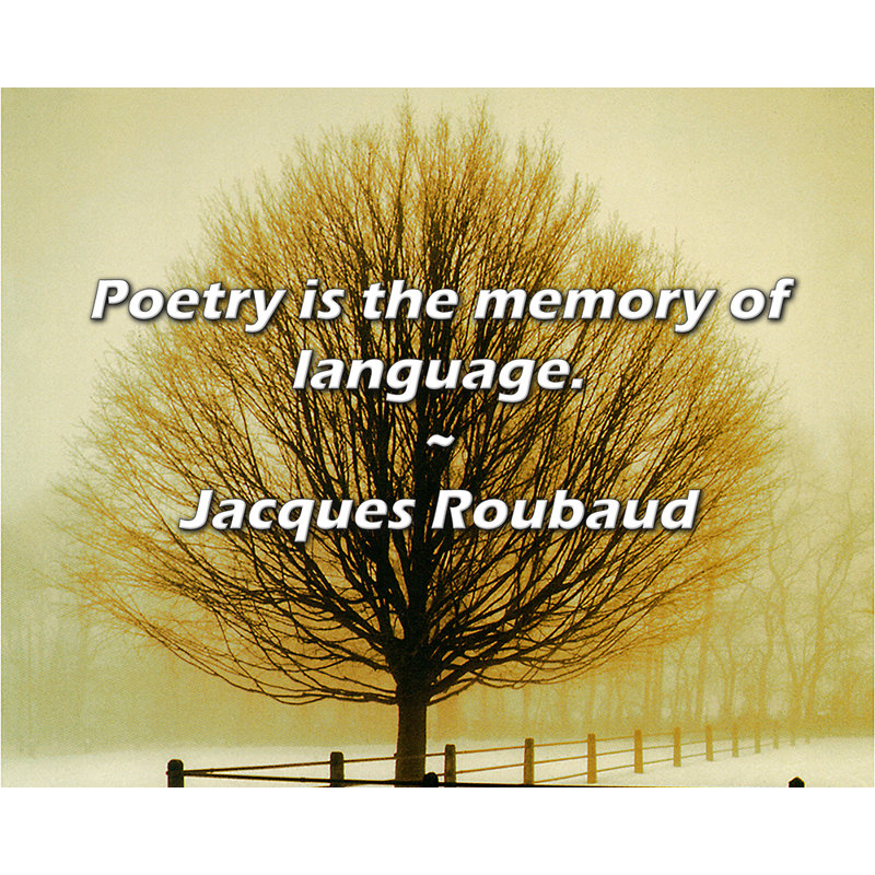Jacques Roubaud Citation: La poésie est la mémoire du langage.