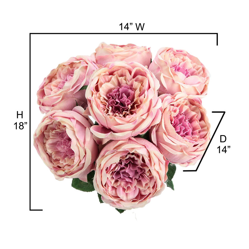 Buisson de roses en pleine floraison, Lavande