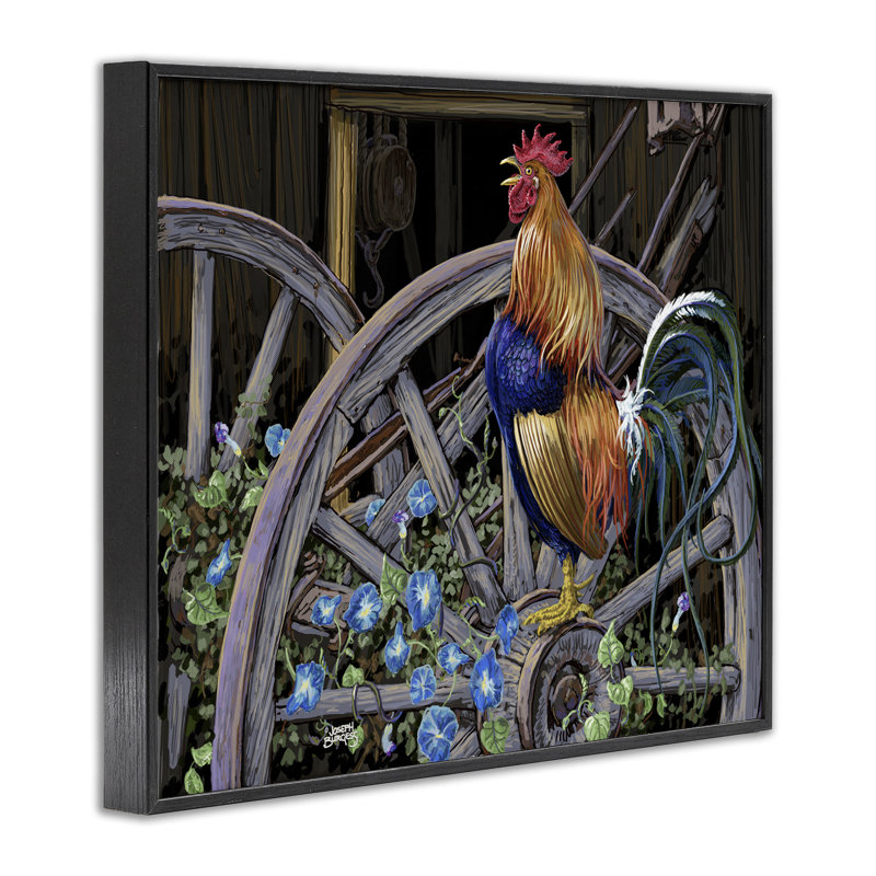 «Morning Glory Rooster», art de la giclée encadrée par Joseph Burgess, H 11 po x l 14 po, Giclée encadrée noir minuit