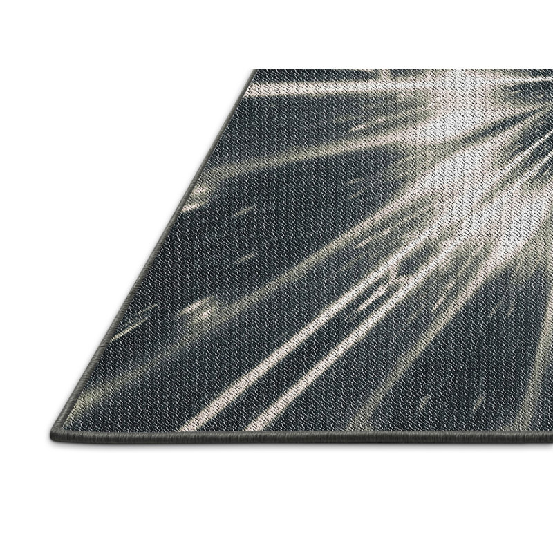 Indoor Rug, Rectangle 2' x 4'
