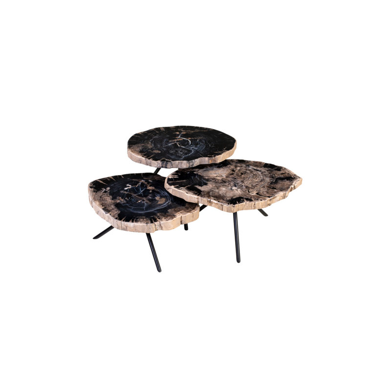 Ensemble de 3 tables gigognes en bois