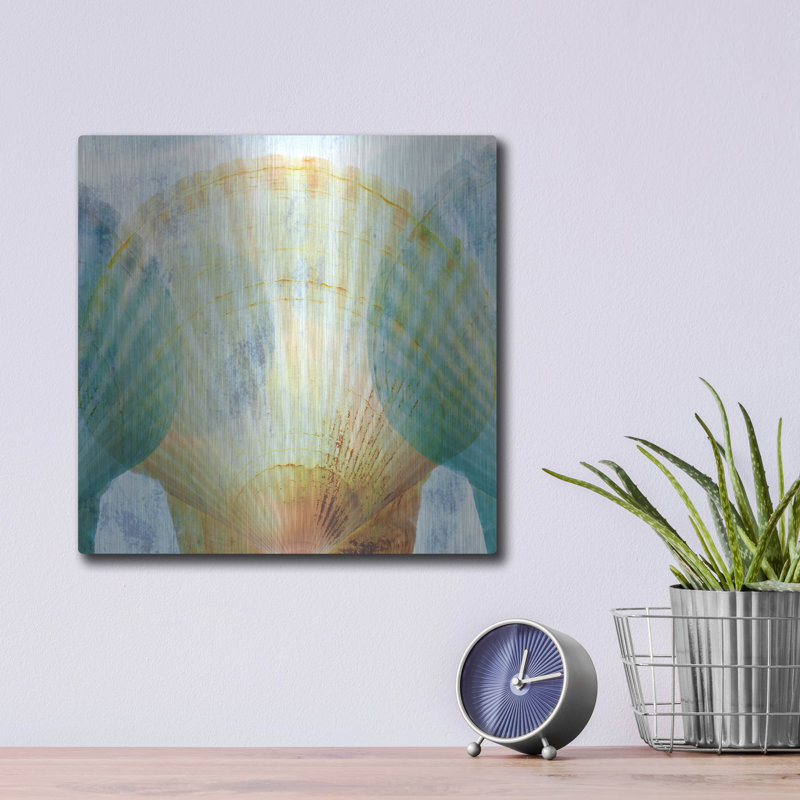 «Luminous Seashells 2» par Elena Ray, H 12 po x l 12 po