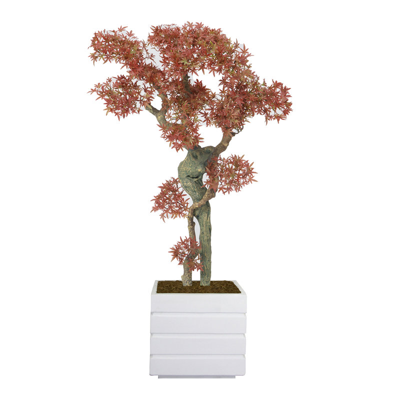 50"H Real-touch Bonsai plant, White