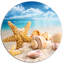 «Starfish and Seashells on Beach», photographie-1098963769-1098963761