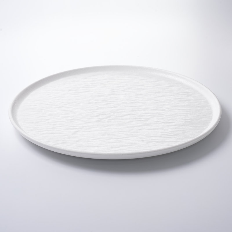 Ensemble de grandes assiettes 10,5 "en grès biologique moderne, assiettes en céramique texturée (ensemble de 4)