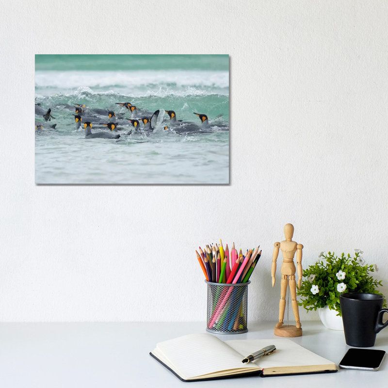 King Penguin, Falkland Islands. by Martin Zwick - Wrapped Canvas Print, 20.32 cm H x 30.48 cm W