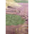 Art Deco One-of-a-Kind 8'10" X 11'2" 1920s Wool Area Rug in