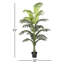 Palmier en pot-1345970931