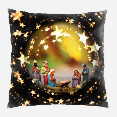 Canvas Outdoor Reversible Throw Pillow