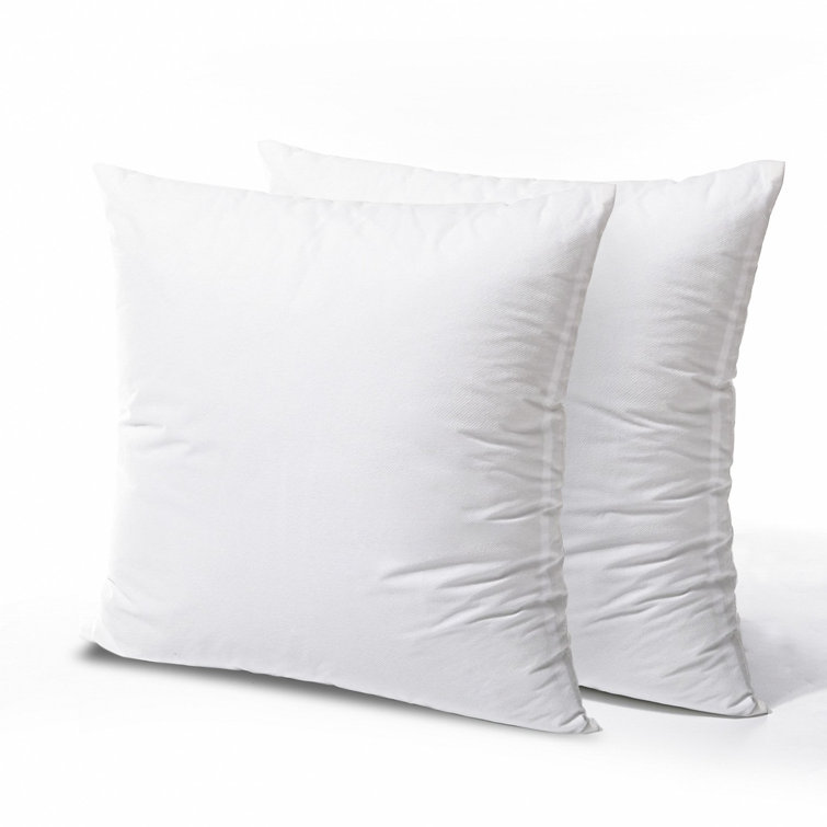 Southam Square Pillow Insert (Set of 2) Alwyn Home Size: 18 x 18