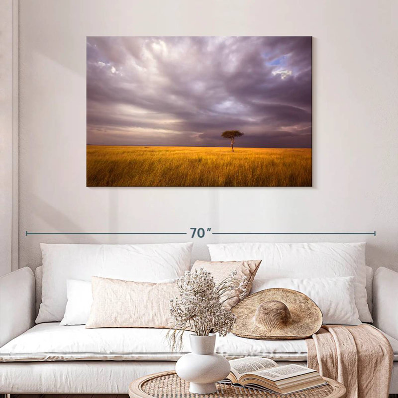 Alvord African Stormy Fields