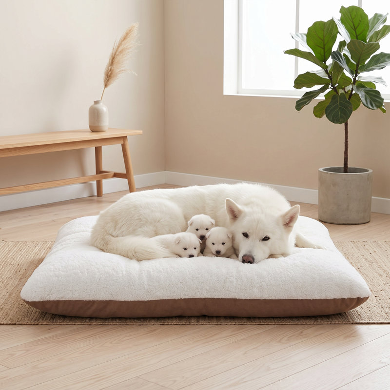 Lit pour chien CalmNest, 19.7" W, Brown