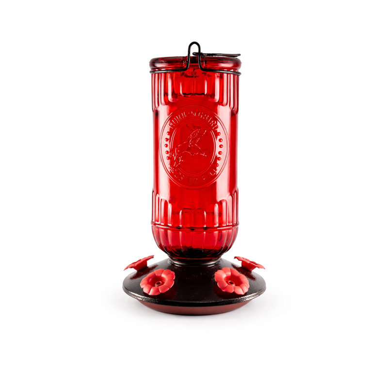Mangeoire en verre pour colibris, grande capacité de 23 oz, 5 ports d'alimentation, abeilles et douves de fourmis, mangeoire d'extérieur à suspendre facile à remplir et à nettoyer