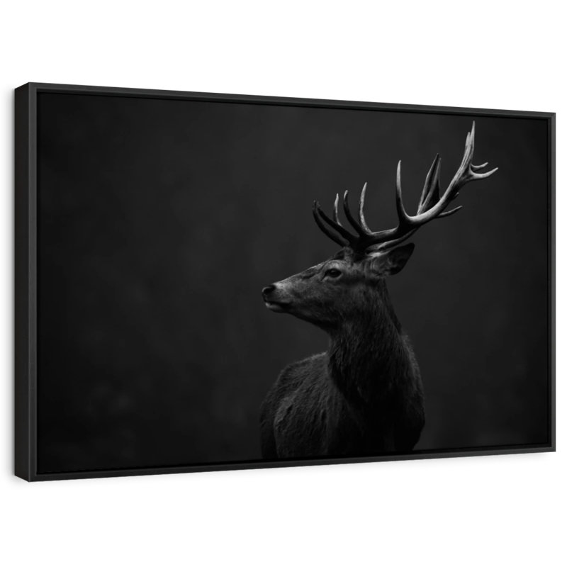Red Deer BW, reproduction sur toile, H 21 po x l 31 po