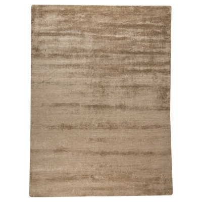 Hayner Viscose Indoor Rug