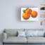 «Citrus Grouping I» sur toile par Victoria Barnes-1949826886