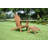Langport Outdoor Adirondack Chair-1336369486