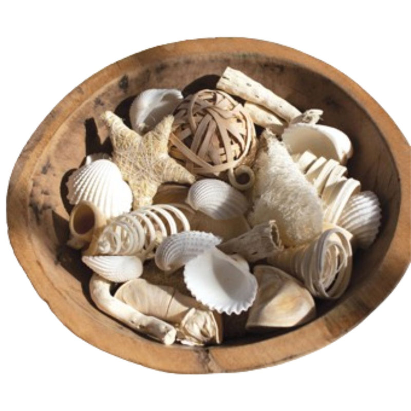  Beach-Inspired Coastal Filler – 9.45" Tall Natural Decor Set of 6