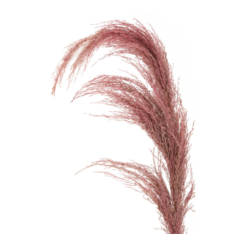 117cm Faux Pampas Grass Grass, Pink